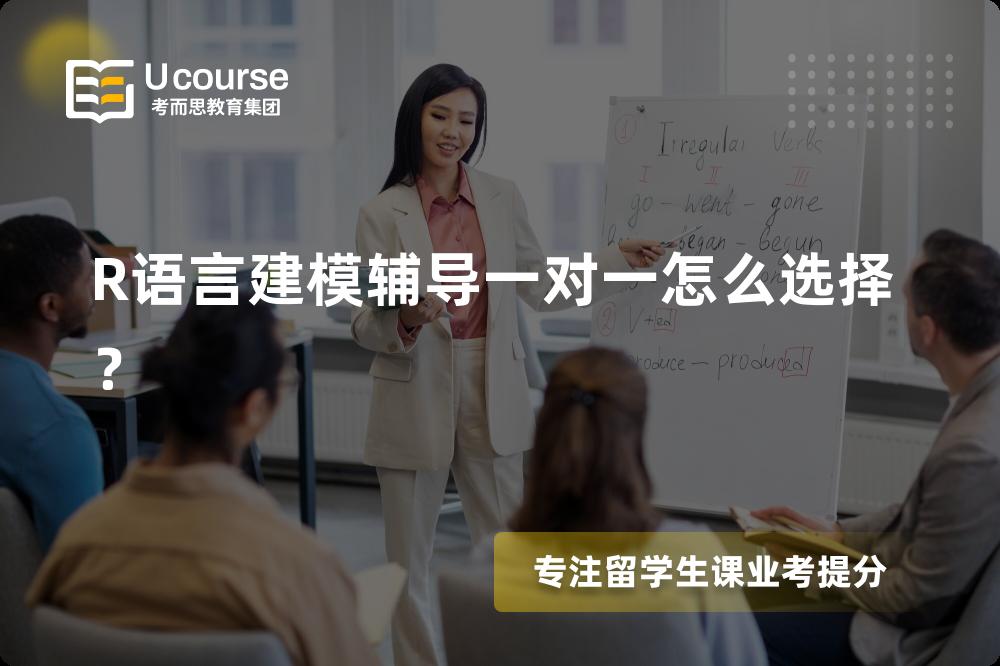 R语言建模辅导