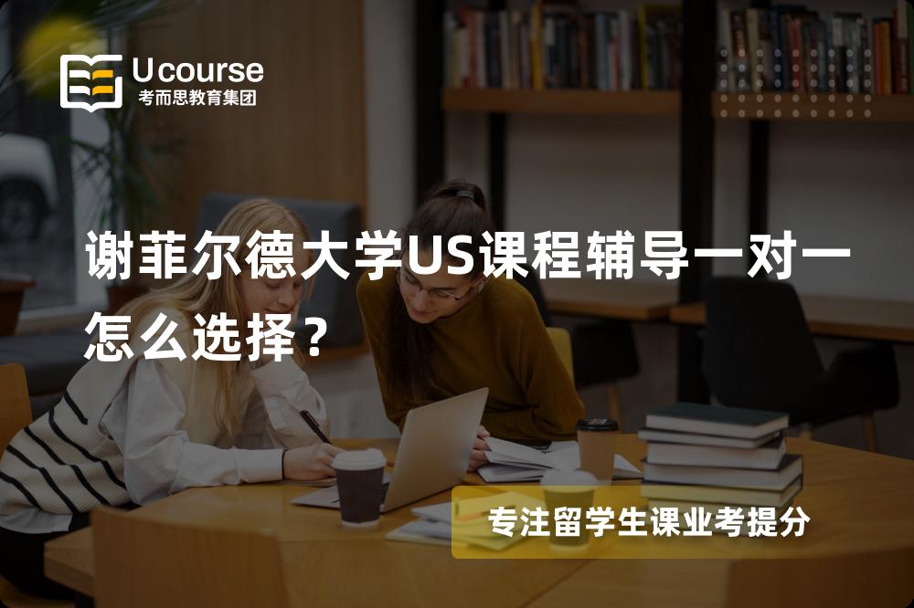 谢菲尔德大学US课程辅导