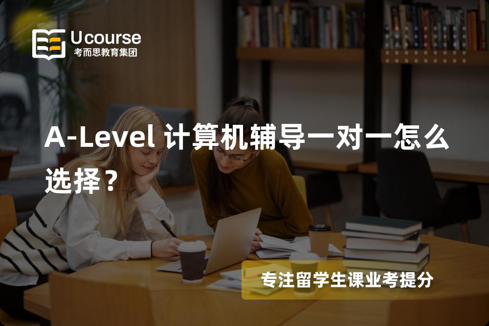 A-Level 计算机辅导