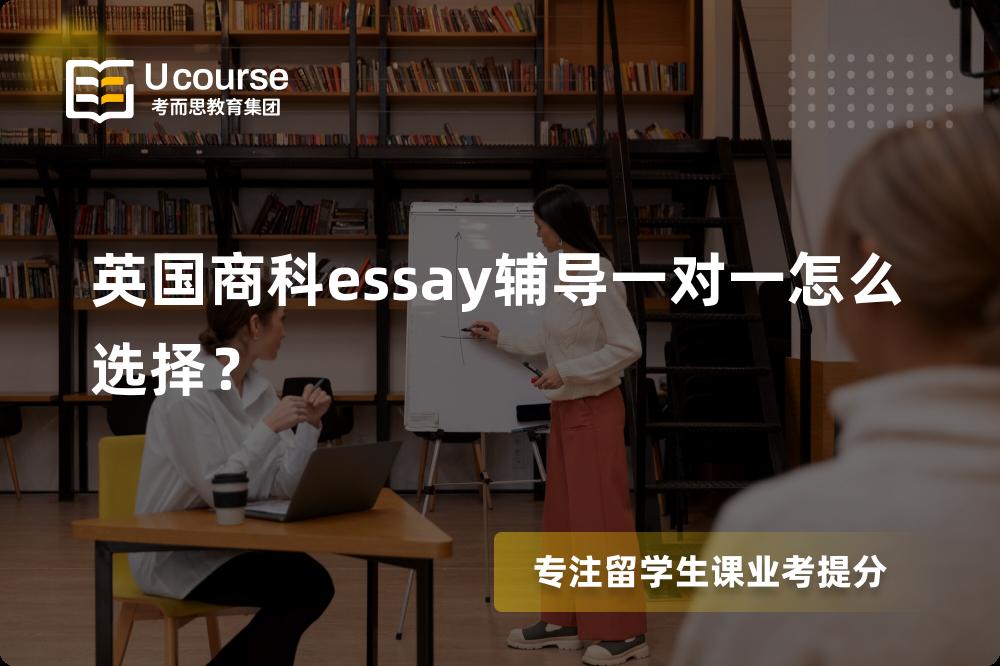 英国商科essay辅导