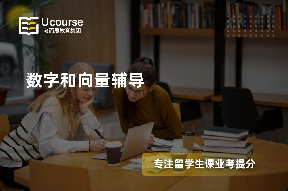 数字和向量辅导