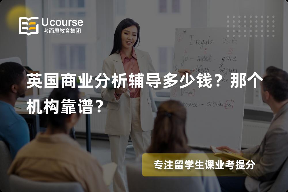 英国商业分析辅导